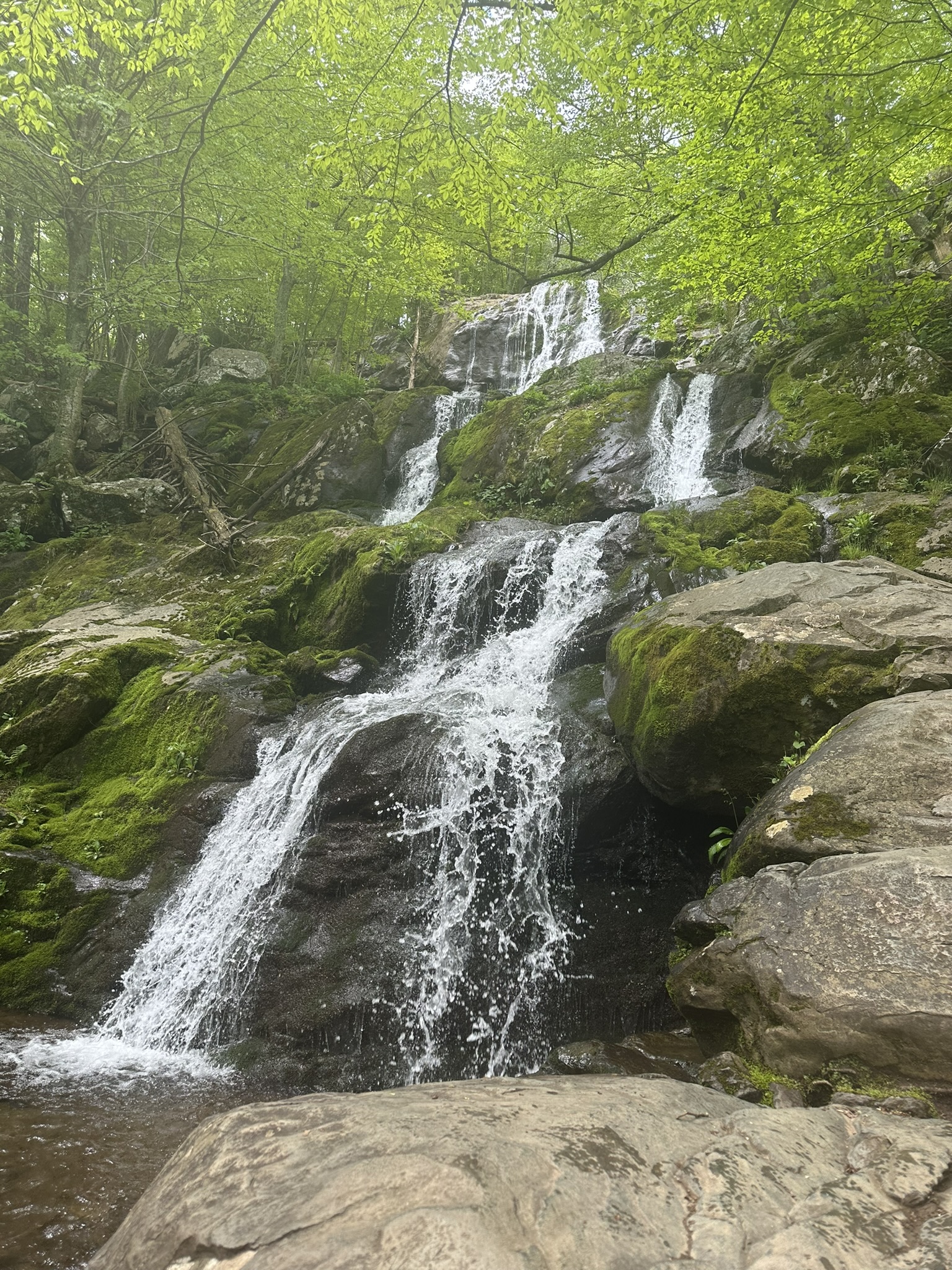 The Best Mother’s Day Hike – Dark Hollow Falls, SNP